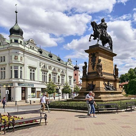 Apartment Spa And Fontain Poděbrady المظهر الخارجي الصورة